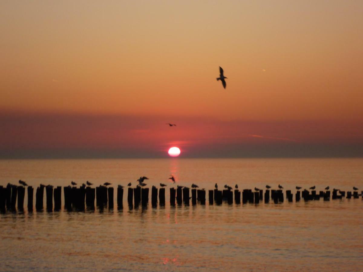 Gezellige Vakantiewoning Dichtbij Centrum Domburg Do20 外观 照片